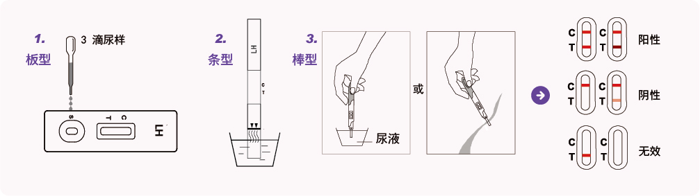 促黄体生成素测试纸-宣传单页-02.jpg