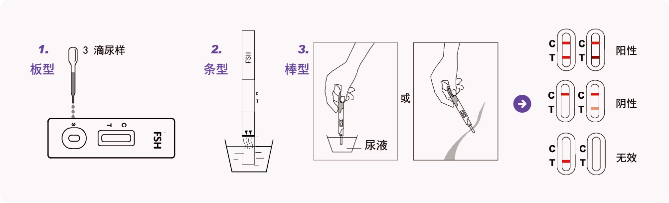 促卵泡生成激素.jpg